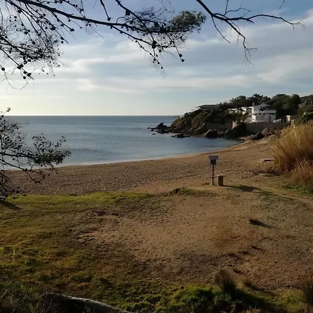 Le Miroir De La Saint Aygulf